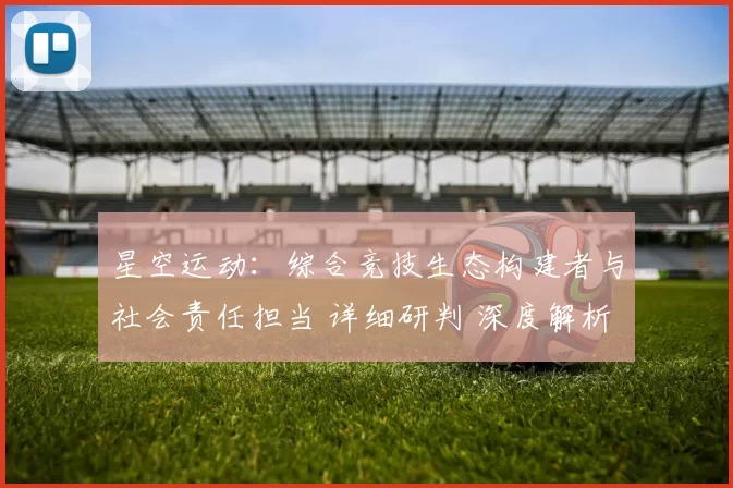 星空运动：综合竞技生态构建者与社会责任担当 详细研判 深度解析