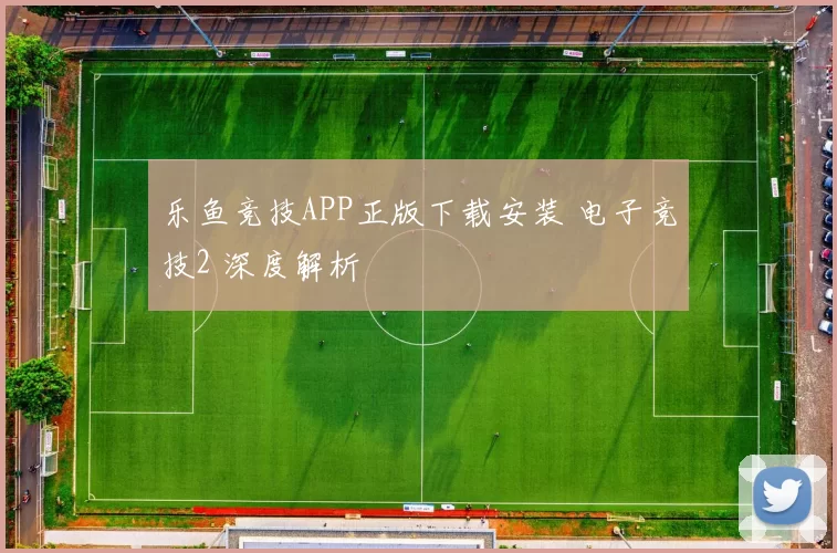 乐鱼竞技APP正版下载安装 电子竞技2 深度解析