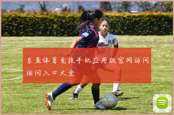 乐鱼体育竞技手机应用版官网访问访问入口大全