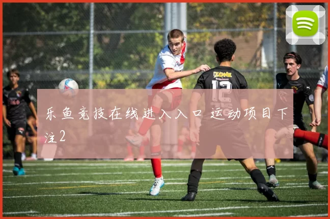 乐鱼竞技在线进入入口 运动项目下注2