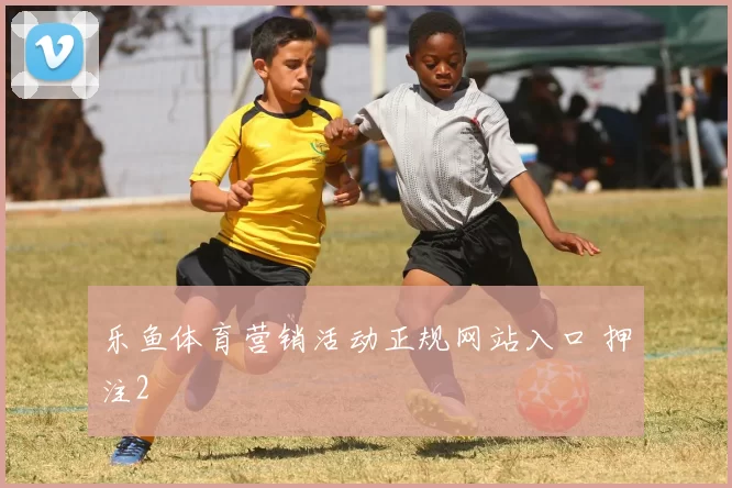 乐鱼体育营销活动正规网站入口 押注2